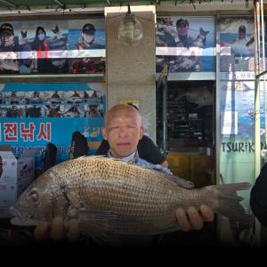 조황, 실전낚시  24일 25일 감성돔 참돔 돌돔을 대상으로 다녀왔습니다