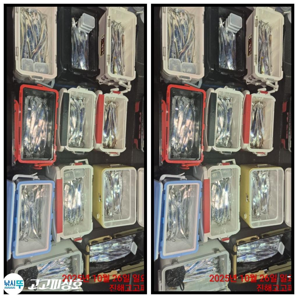 낚시뚜,,속천항(진해),고고피싱호,낚시뚜15