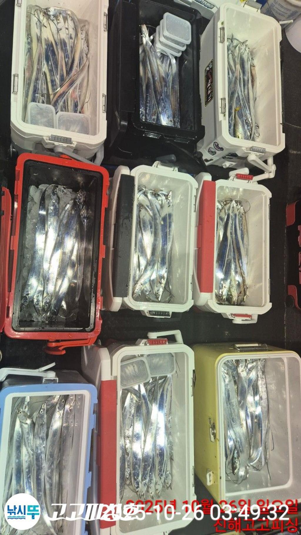 낚시뚜,,속천항(진해),고고피싱호,낚시뚜12