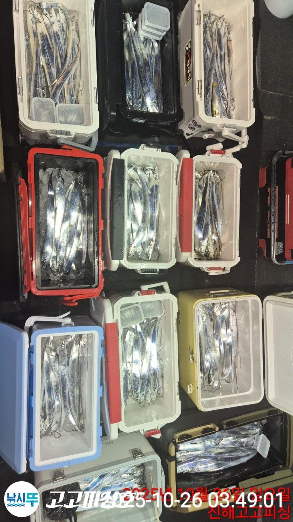 낚시뚜,,속천항(진해),고고피싱호,낚시뚜11