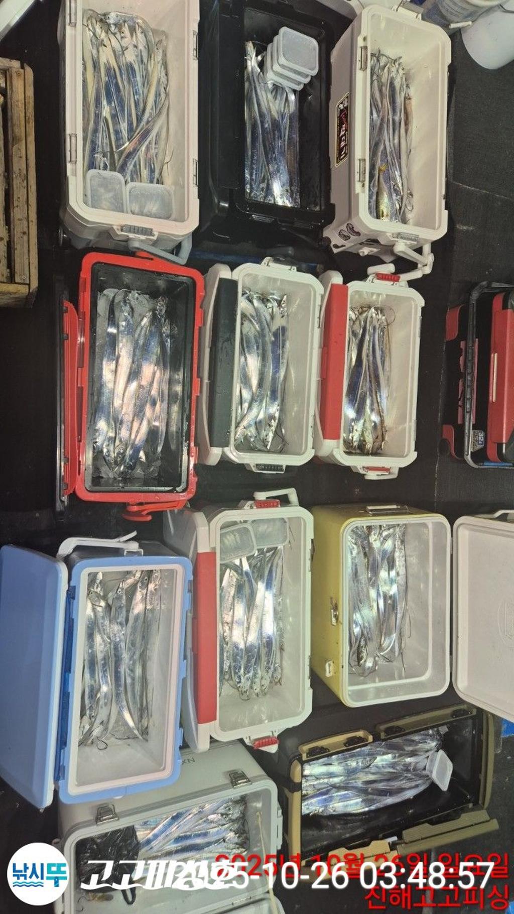 낚시뚜,,속천항(진해),고고피싱호,낚시뚜9