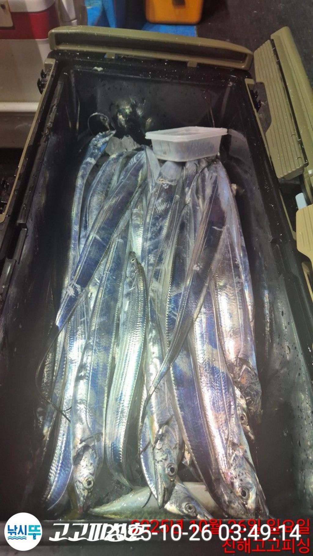 낚시뚜,,속천항(진해),고고피싱호,낚시뚜2