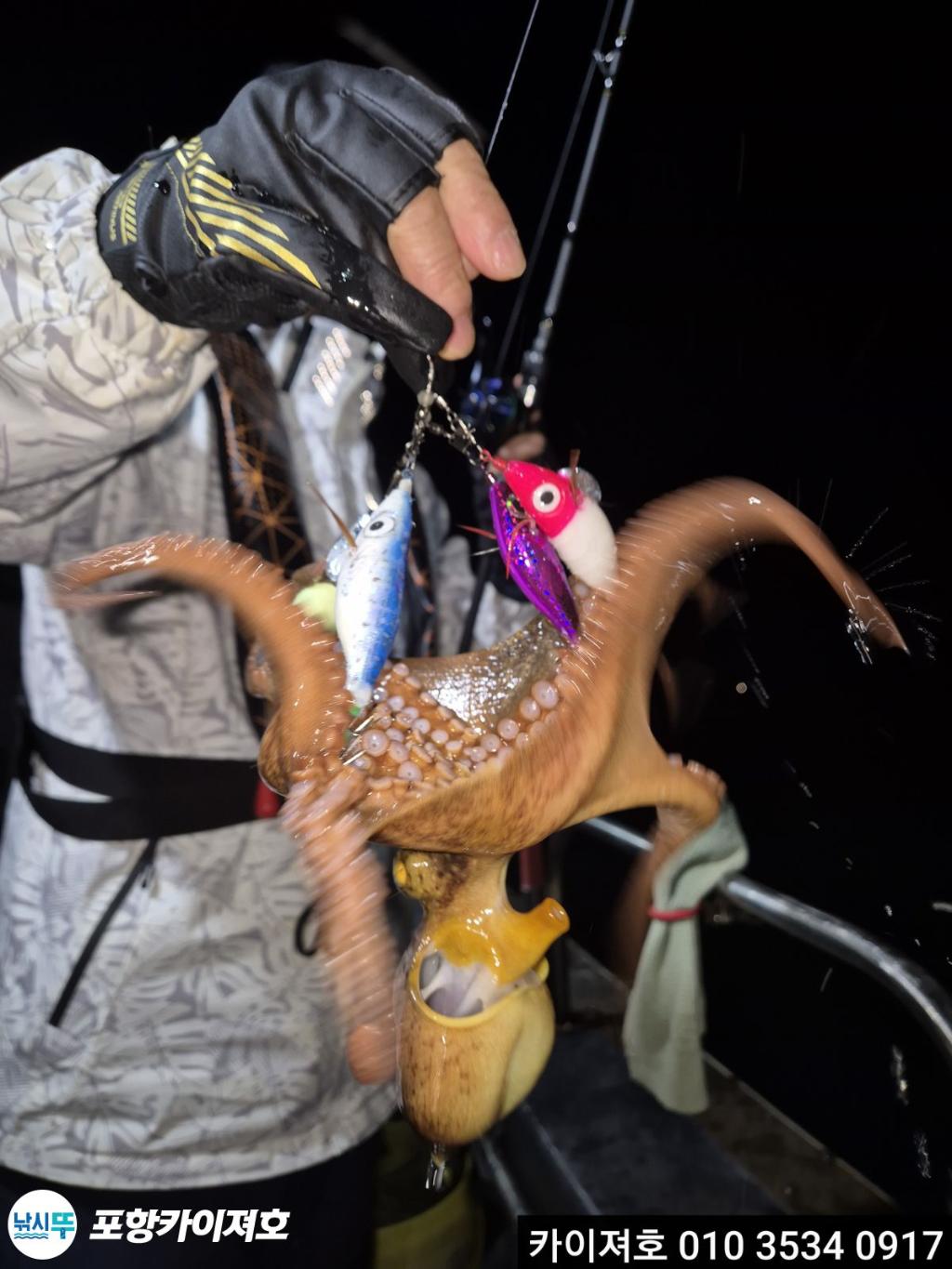 낚시뚜,기타 (직접입력),영일만항,포항카이져호,낚시뚜16