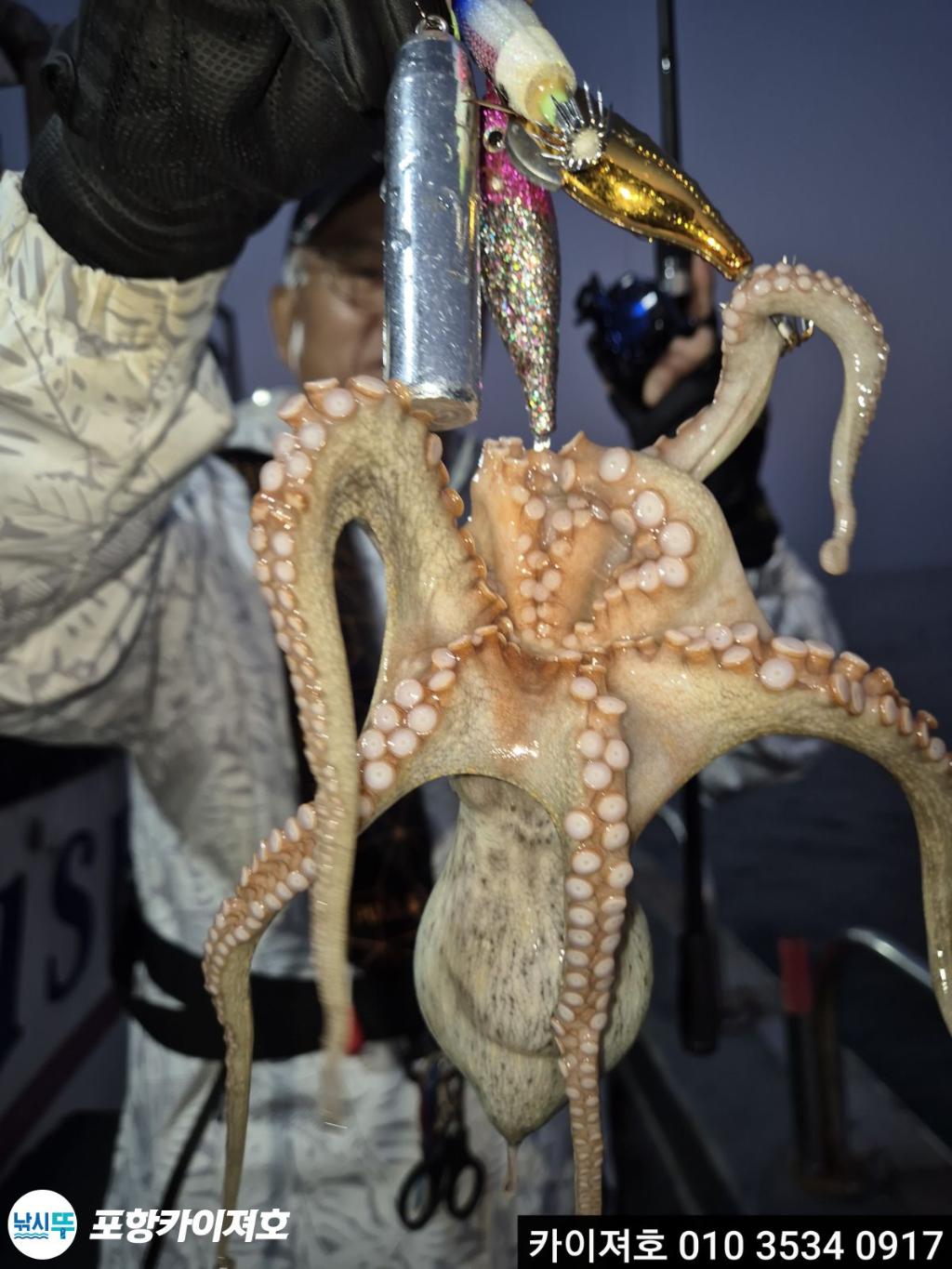 낚시뚜,기타 (직접입력),영일만항,포항카이져호,낚시뚜2