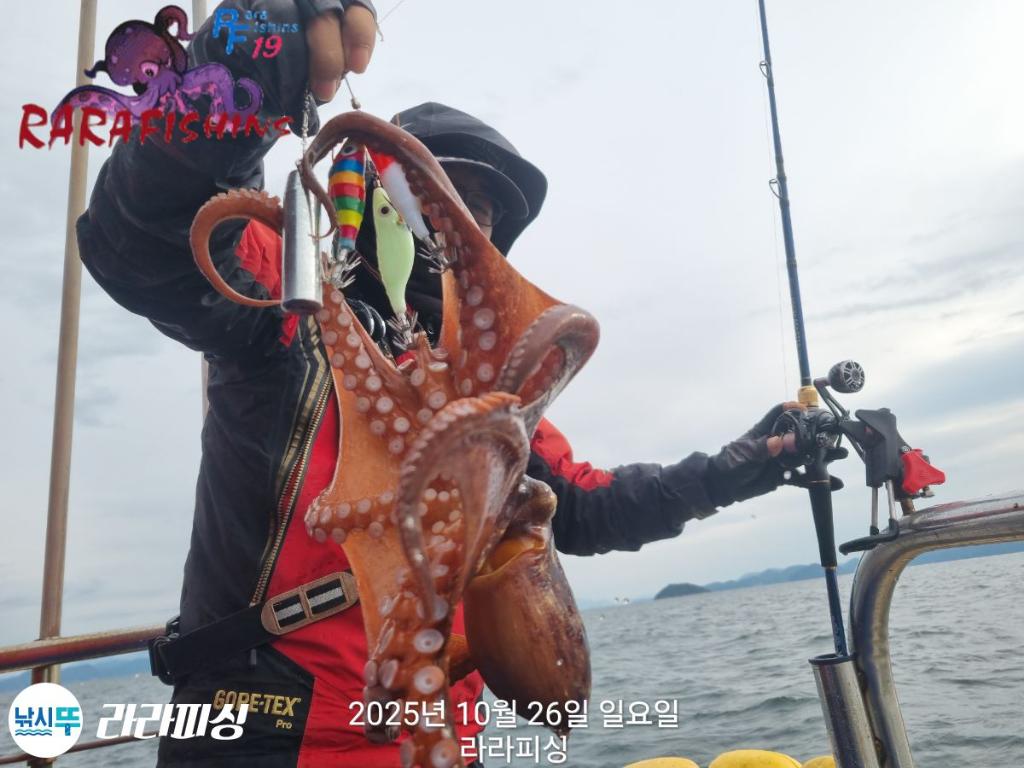 낚시뚜,돌문어,속천항(진해),라라피싱,낚시뚜7