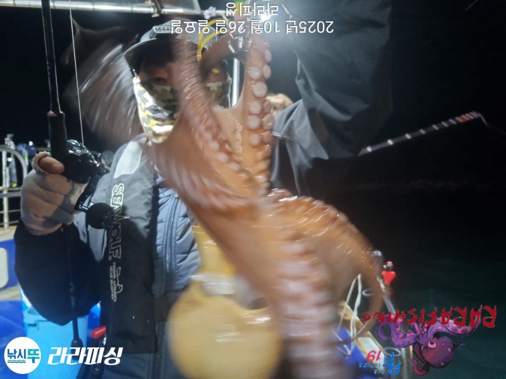 낚시뚜,돌문어,속천항(진해),라라피싱,낚시뚜11