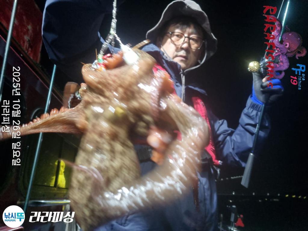 낚시뚜,돌문어,속천항(진해),라라피싱,낚시뚜10