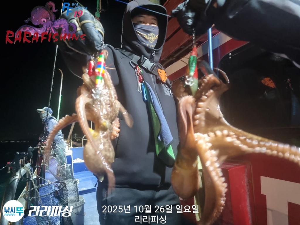 낚시뚜,돌문어,속천항(진해),라라피싱,낚시뚜9