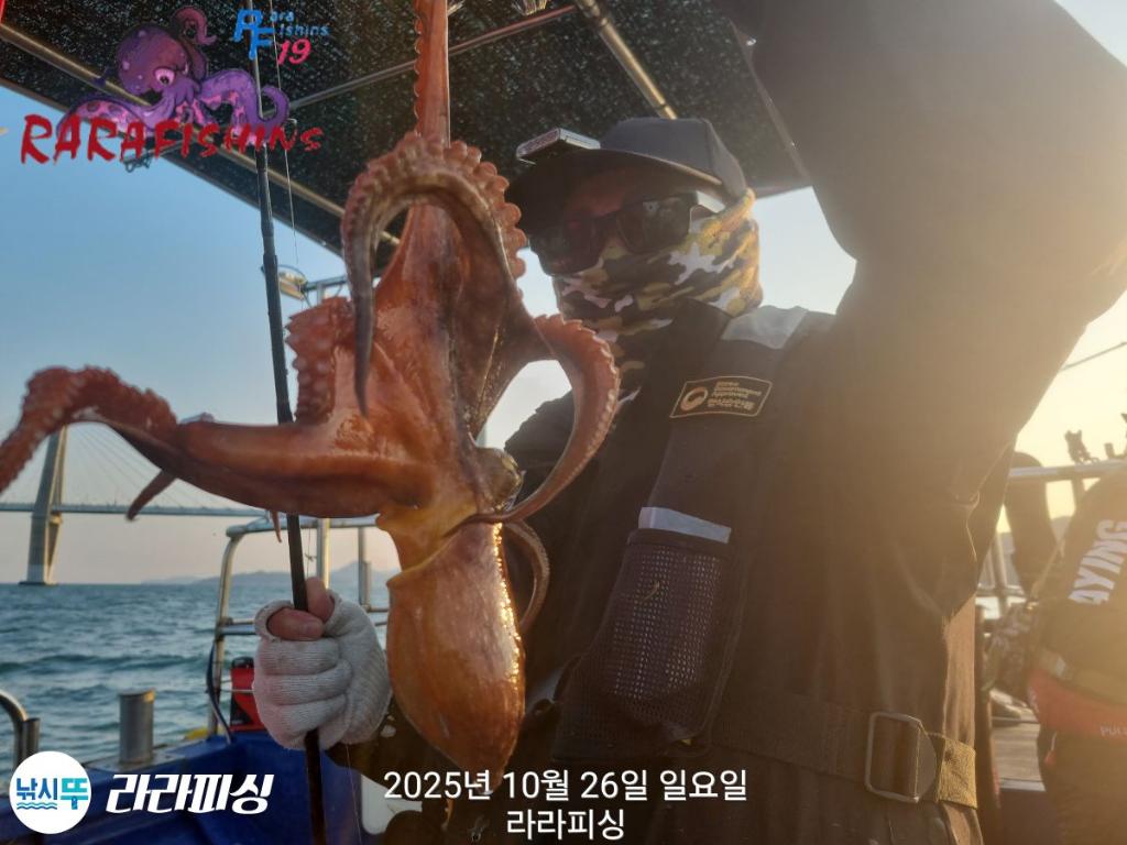 낚시뚜,돌문어,속천항(진해),라라피싱,낚시뚜8