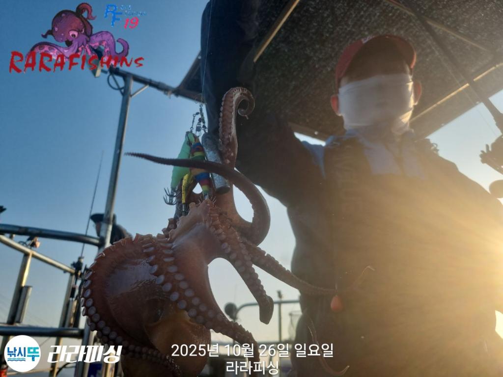 낚시뚜,돌문어,속천항(진해),라라피싱,낚시뚜7