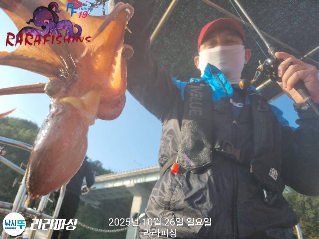 낚시뚜,돌문어,속천항(진해),라라피싱,낚시뚜4
