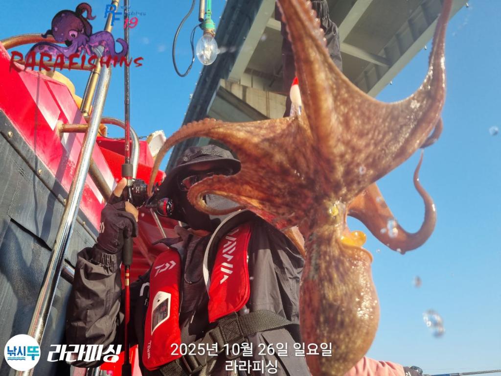 낚시뚜,돌문어,속천항(진해),라라피싱,낚시뚜1