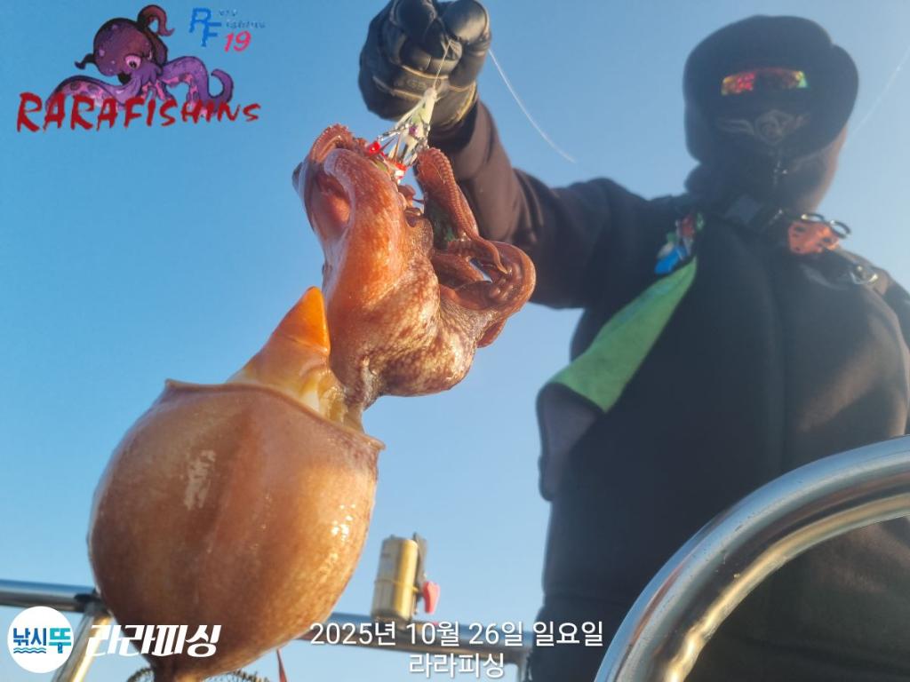 낚시뚜,돌문어,속천항(진해),라라피싱,낚시뚜0