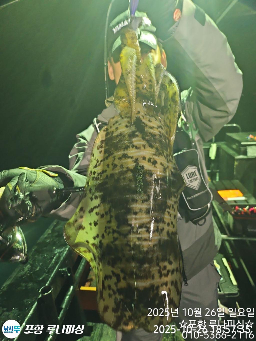 낚시뚜,무늬오징어,구룡포항,포항 루나피싱,낚시뚜2