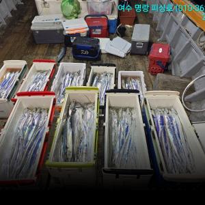 조황, 갈치14석 으로 25일 출항 26입항>대갈치