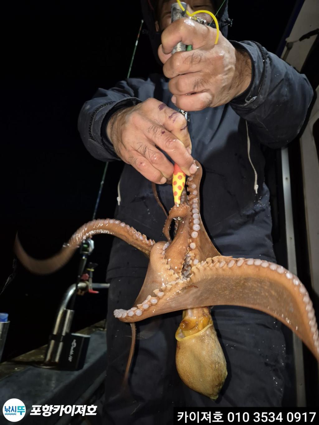 낚시뚜,기타 (직접입력),영일만항,포항카이져호,낚시뚜28