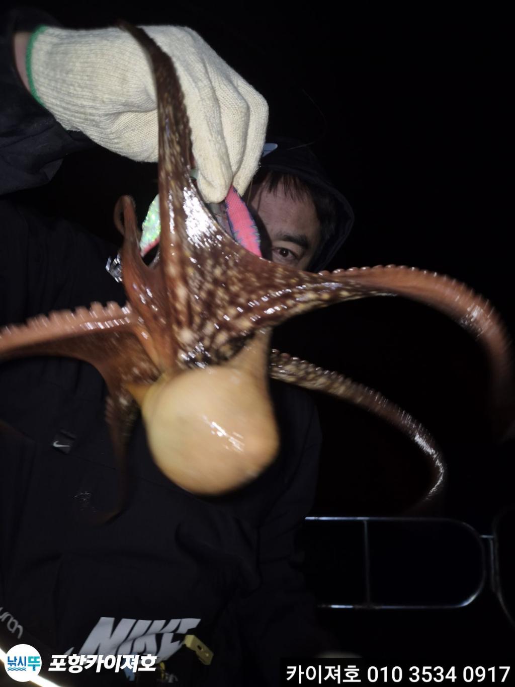 낚시뚜,기타 (직접입력),영일만항,포항카이져호,낚시뚜26