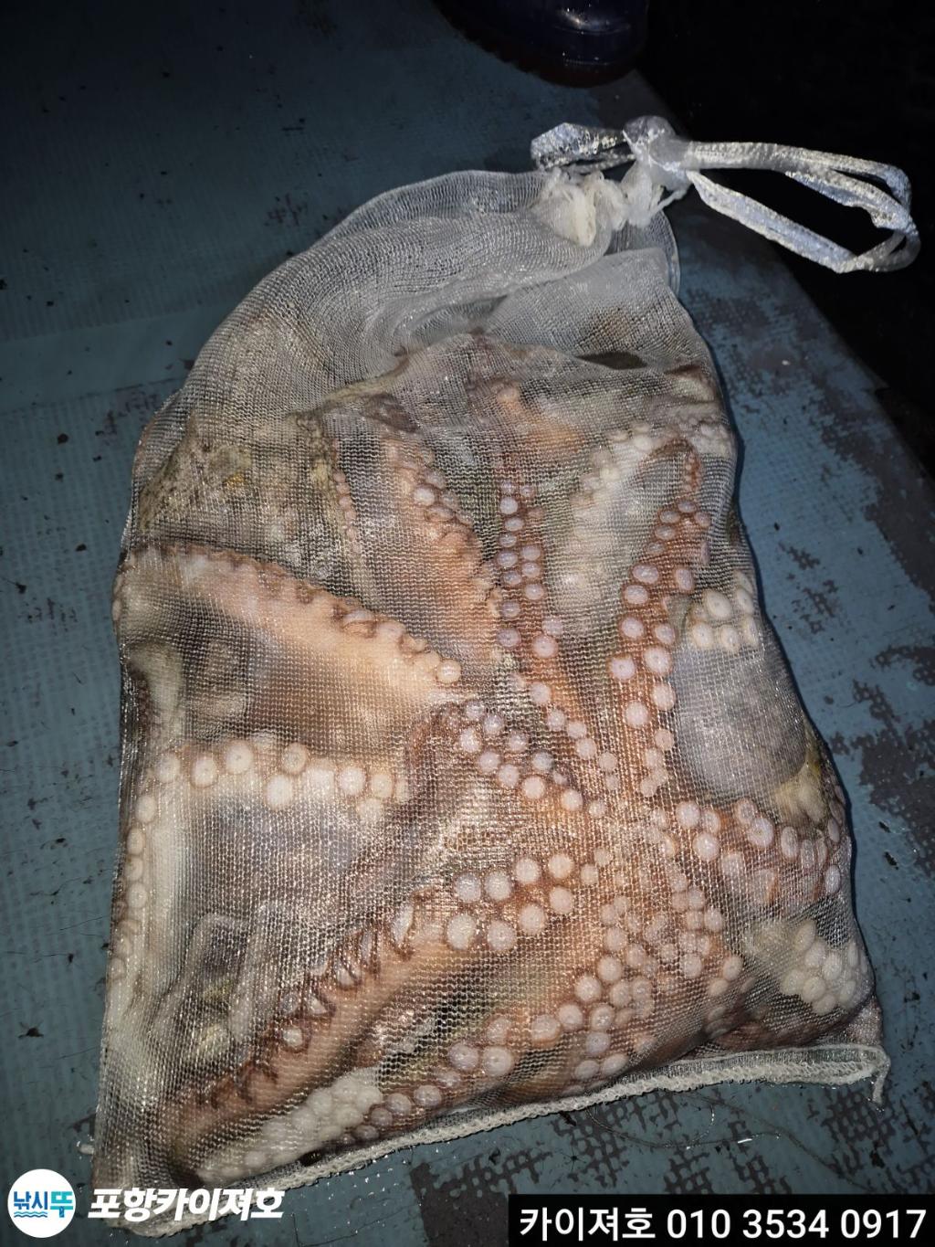 낚시뚜,기타 (직접입력),영일만항,포항카이져호,낚시뚜3