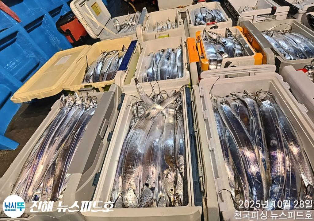 낚시뚜,,진해행암항,진해 뉴스피드호,낚시뚜29