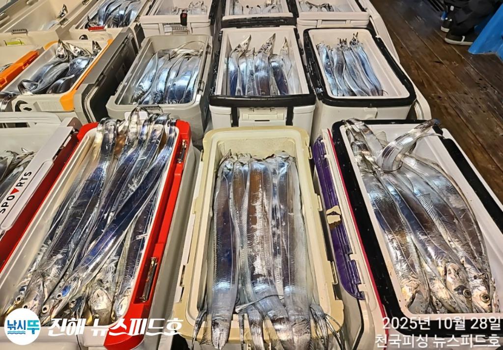 낚시뚜,,진해행암항,진해 뉴스피드호,낚시뚜28