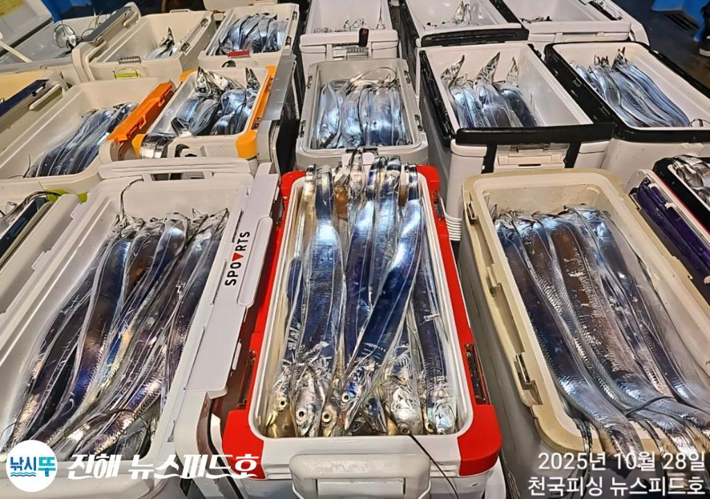 낚시뚜,,진해행암항,진해 뉴스피드호,낚시뚜27