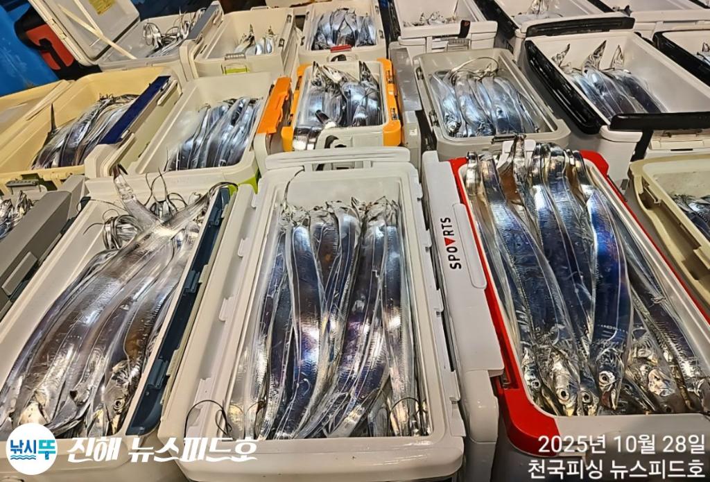 낚시뚜,,진해행암항,진해 뉴스피드호,낚시뚜26