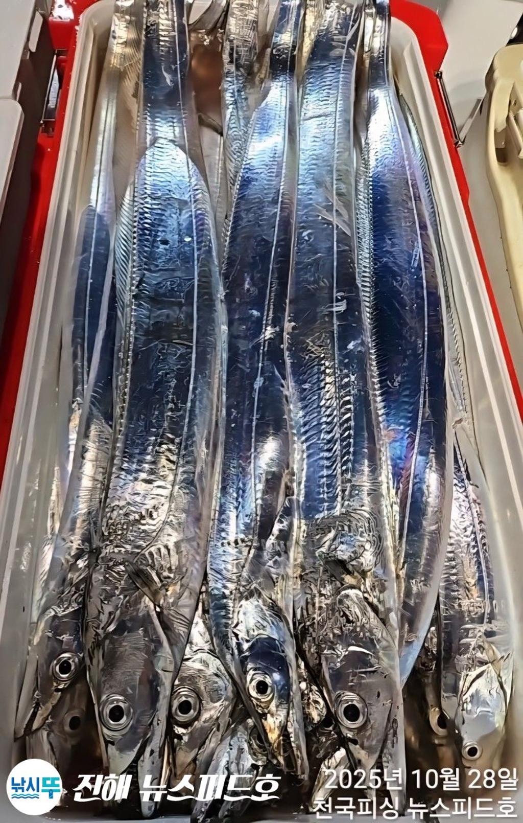 낚시뚜,,진해행암항,진해 뉴스피드호,낚시뚜14