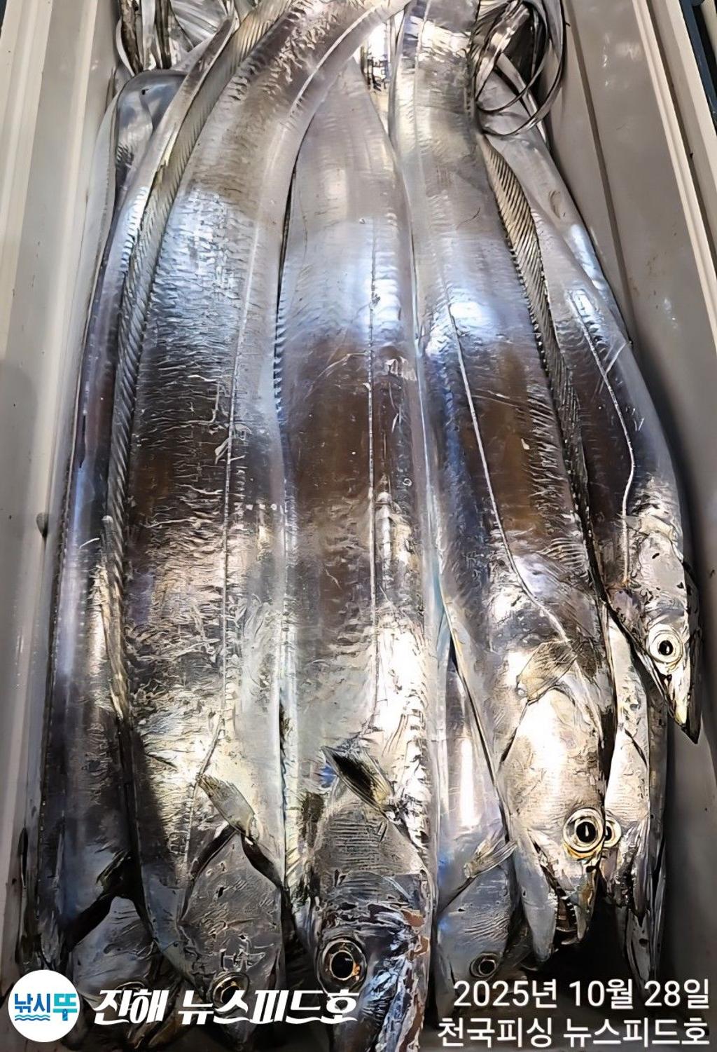 낚시뚜,,진해행암항,진해 뉴스피드호,낚시뚜22