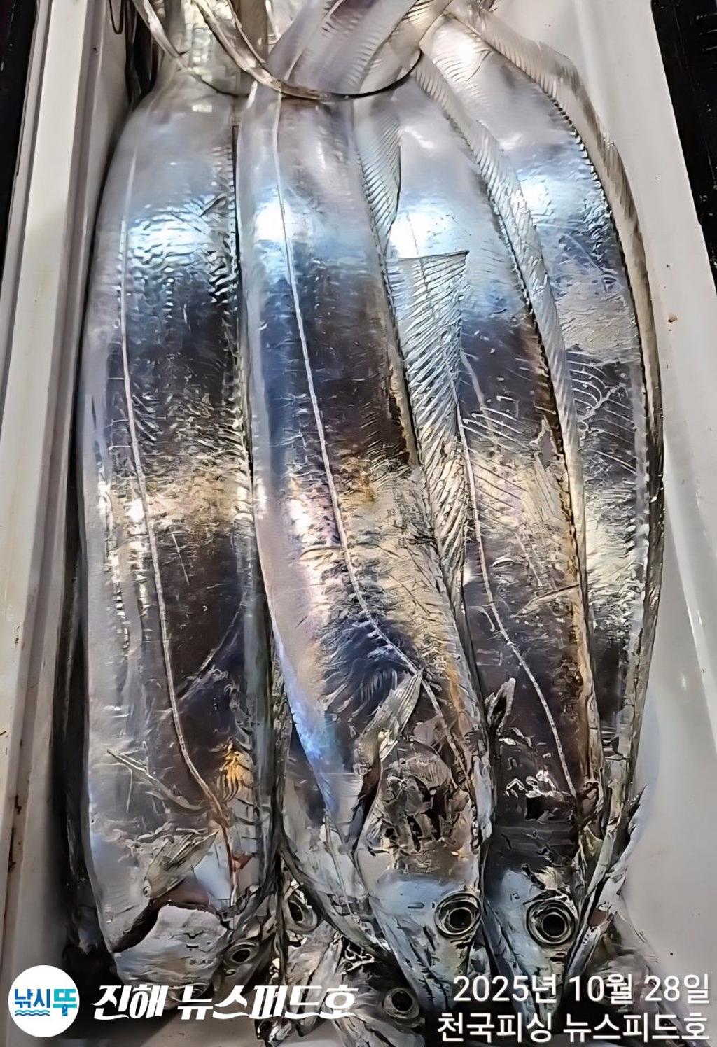 낚시뚜,,진해행암항,진해 뉴스피드호,낚시뚜21