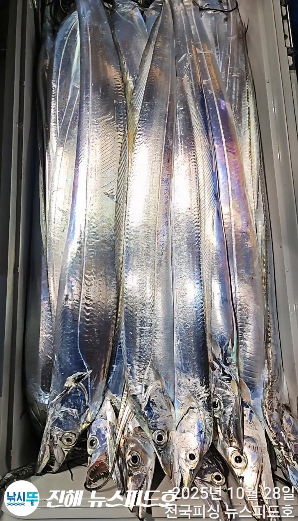 낚시뚜,,진해행암항,진해 뉴스피드호,낚시뚜17