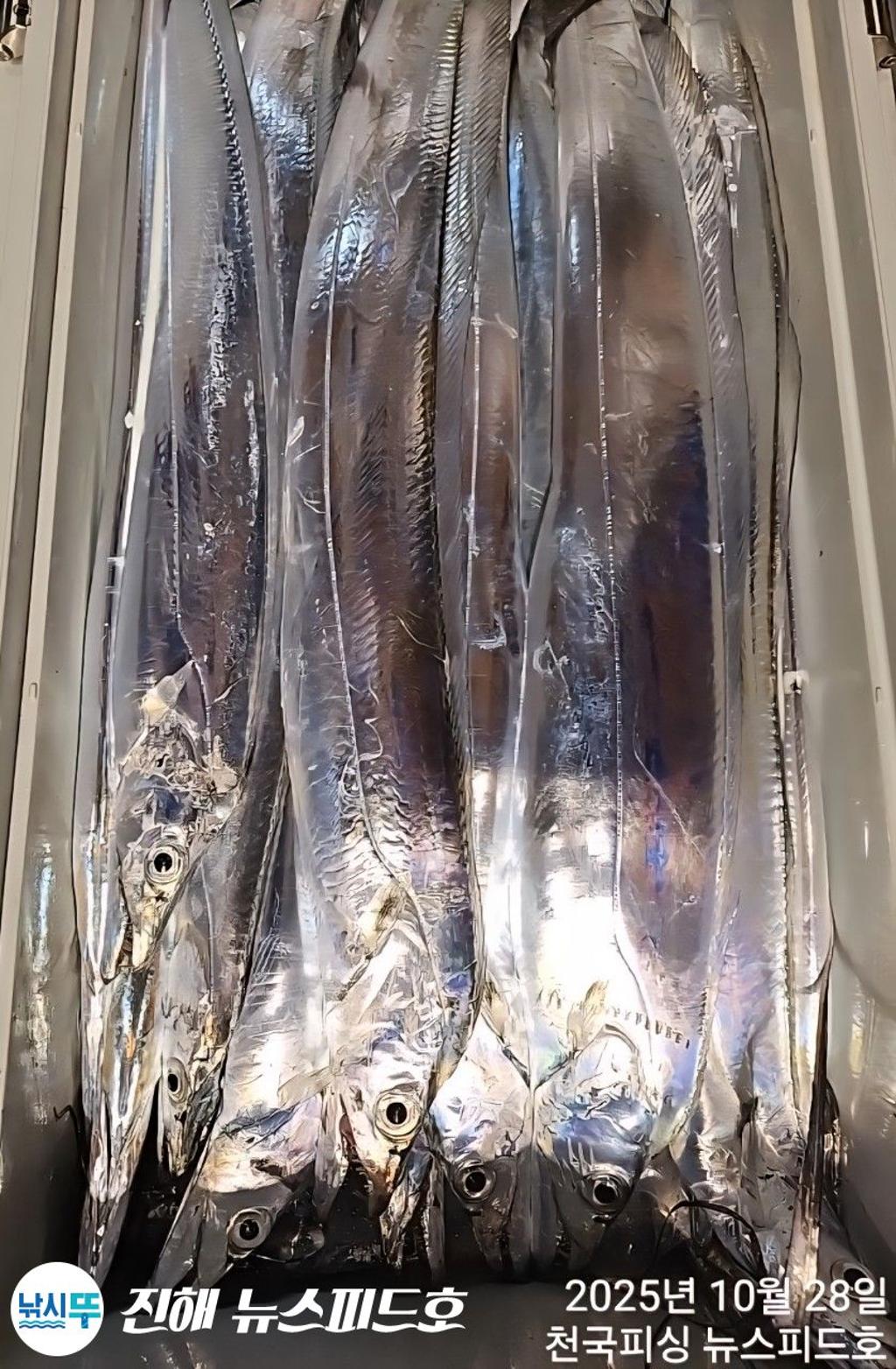 낚시뚜,,진해행암항,진해 뉴스피드호,낚시뚜19