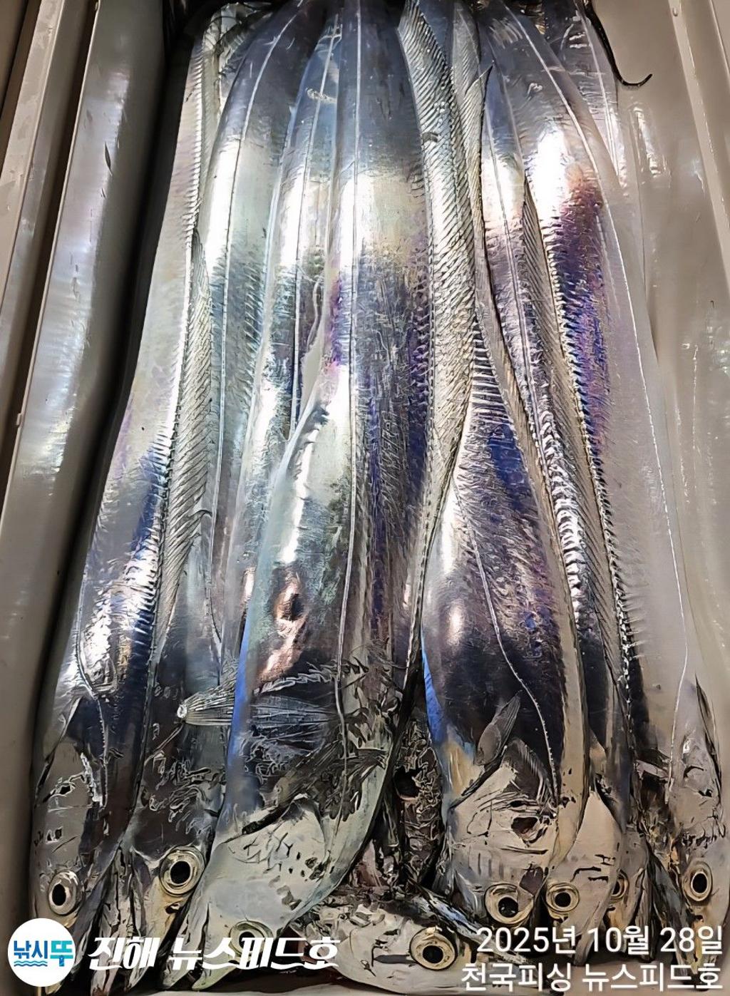 낚시뚜,,진해행암항,진해 뉴스피드호,낚시뚜20