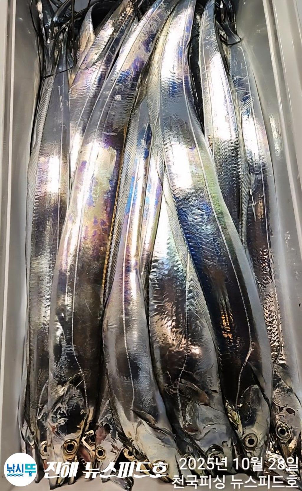 낚시뚜,,진해행암항,진해 뉴스피드호,낚시뚜18