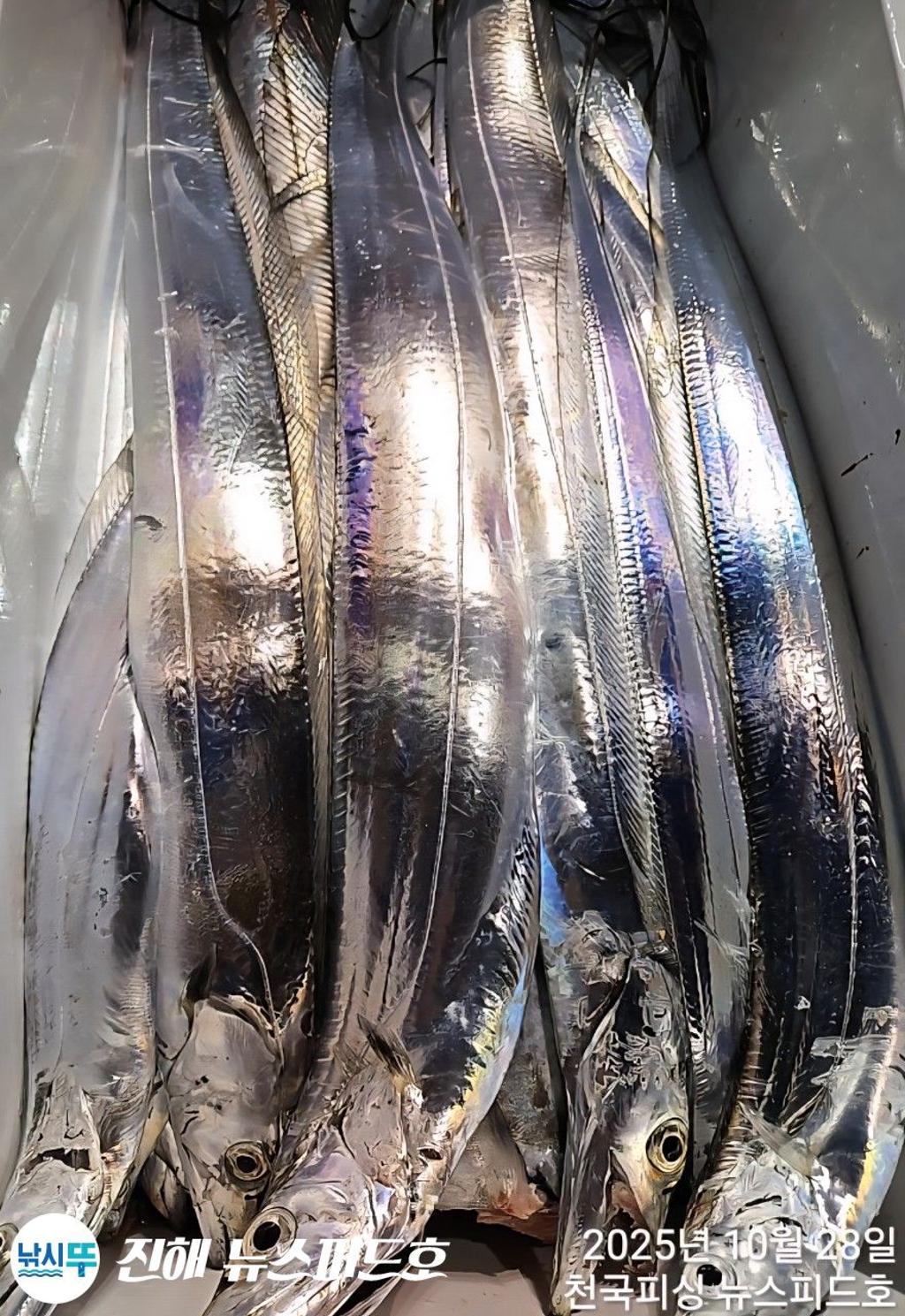 낚시뚜,,진해행암항,진해 뉴스피드호,낚시뚜16