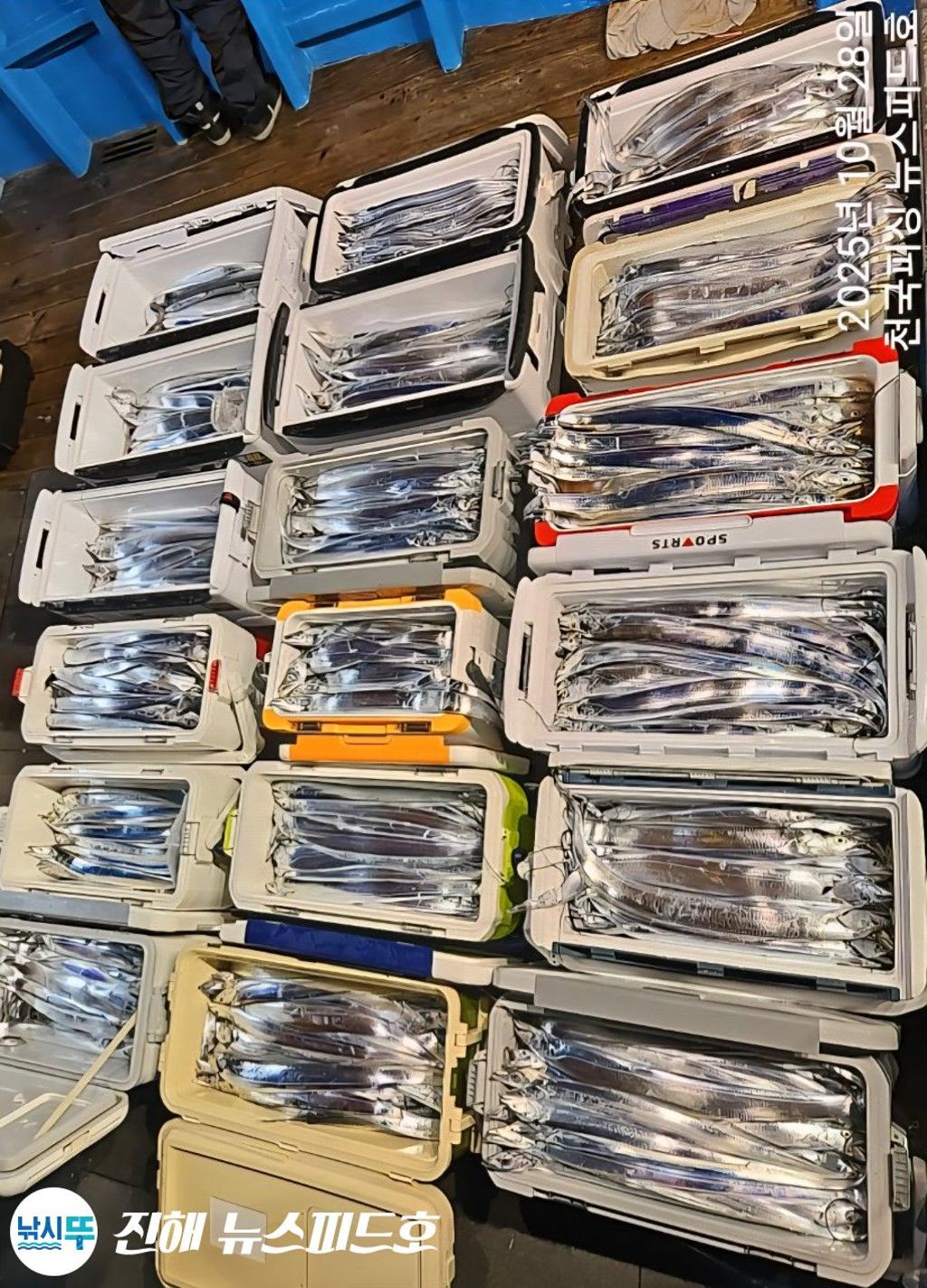 낚시뚜,,진해행암항,진해 뉴스피드호,낚시뚜11