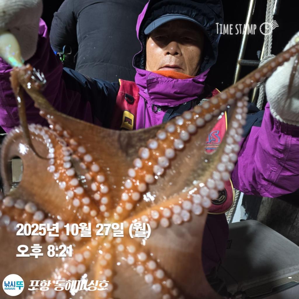 낚시뚜,돌문어,포항(운하관),포항 동해피싱호,낚시뚜9