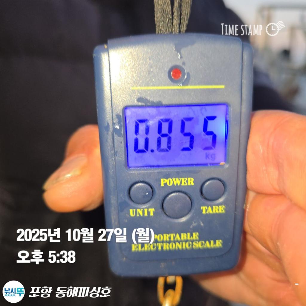 낚시뚜,돌문어,포항(운하관),포항 동해피싱호,낚시뚜7