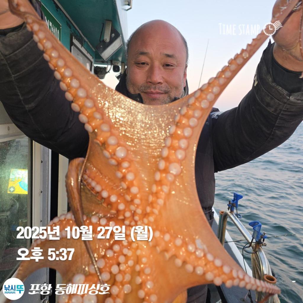 낚시뚜,돌문어,포항(운하관),포항 동해피싱호,낚시뚜6