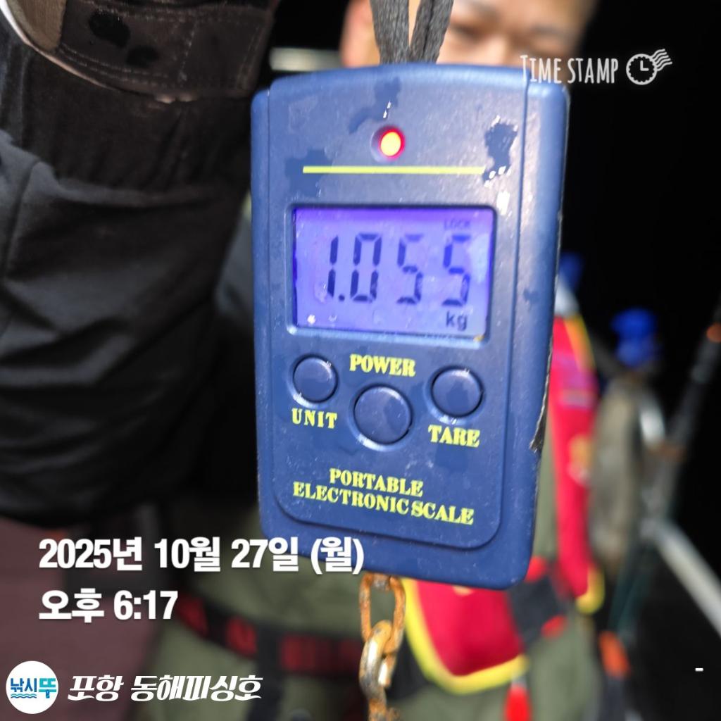 낚시뚜,돌문어,포항(운하관),포항 동해피싱호,낚시뚜4