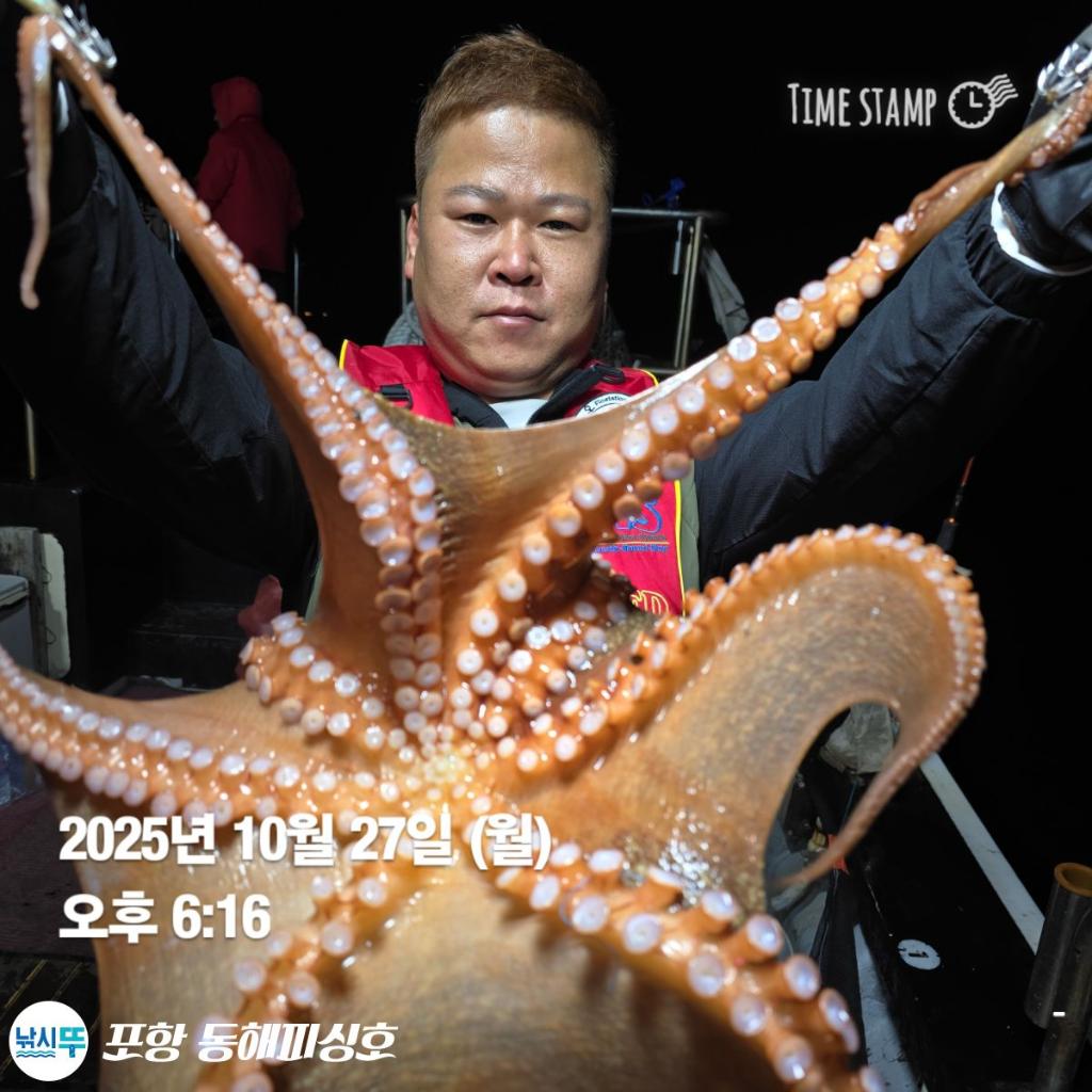 낚시뚜,돌문어,포항(운하관),포항 동해피싱호,낚시뚜3