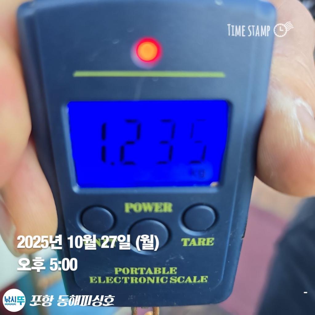 낚시뚜,돌문어,포항(운하관),포항 동해피싱호,낚시뚜1