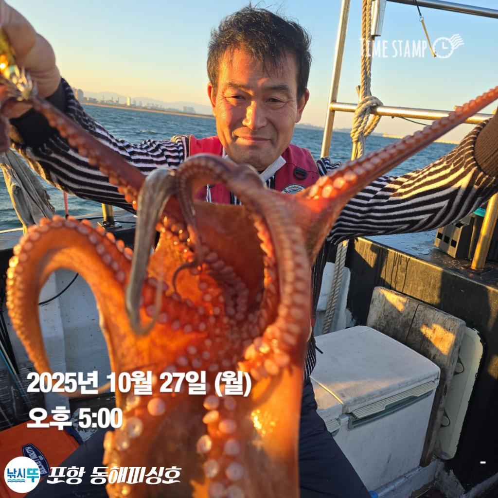 낚시뚜,돌문어,포항(운하관),포항 동해피싱호,낚시뚜0