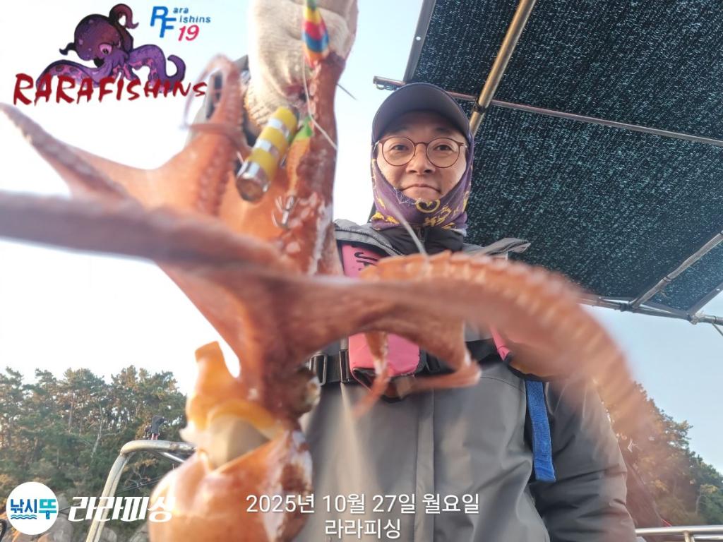 낚시뚜,돌문어,속천항(진해),라라피싱,낚시뚜6