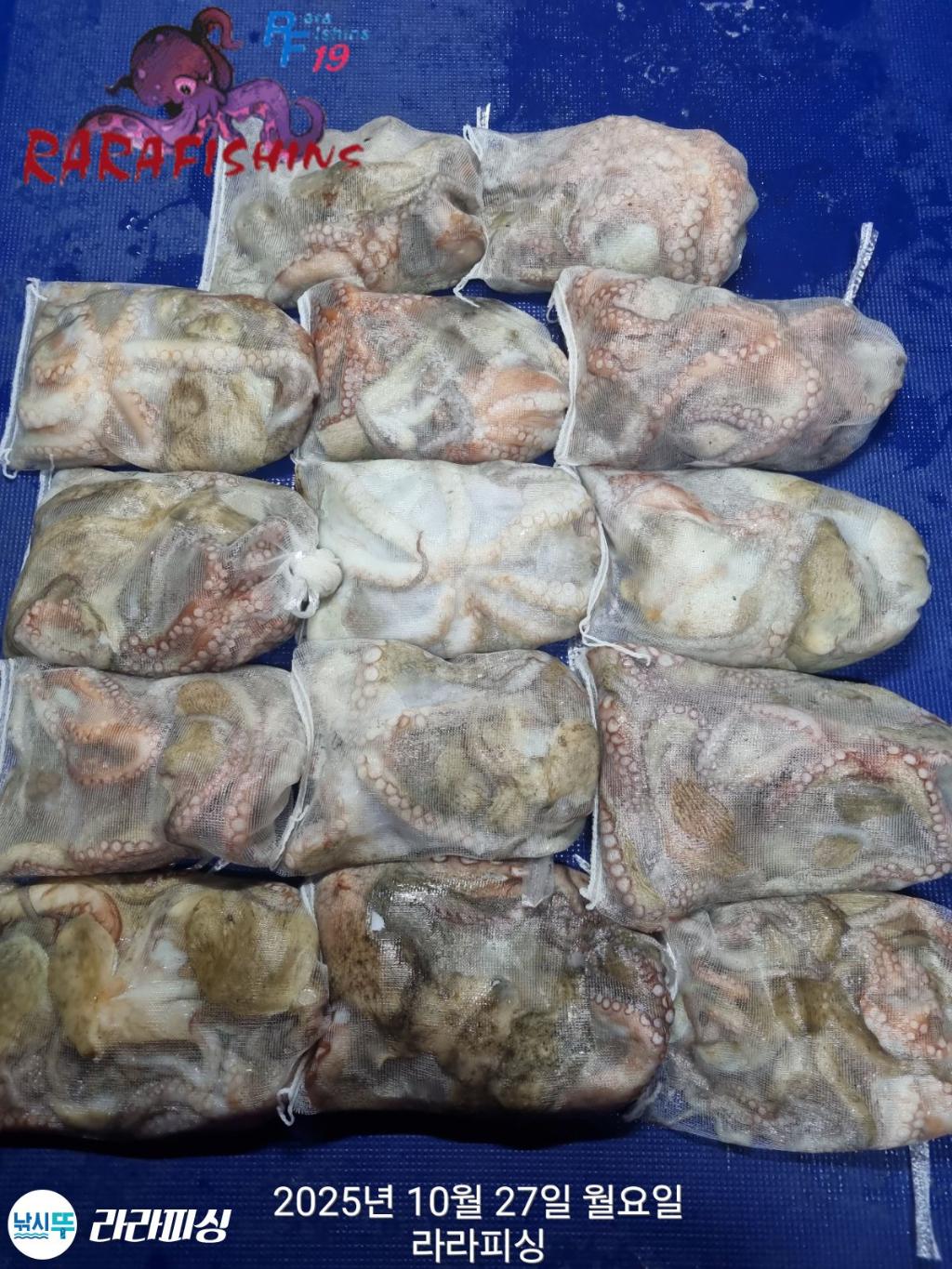 낚시뚜,돌문어,속천항(진해),라라피싱,낚시뚜1