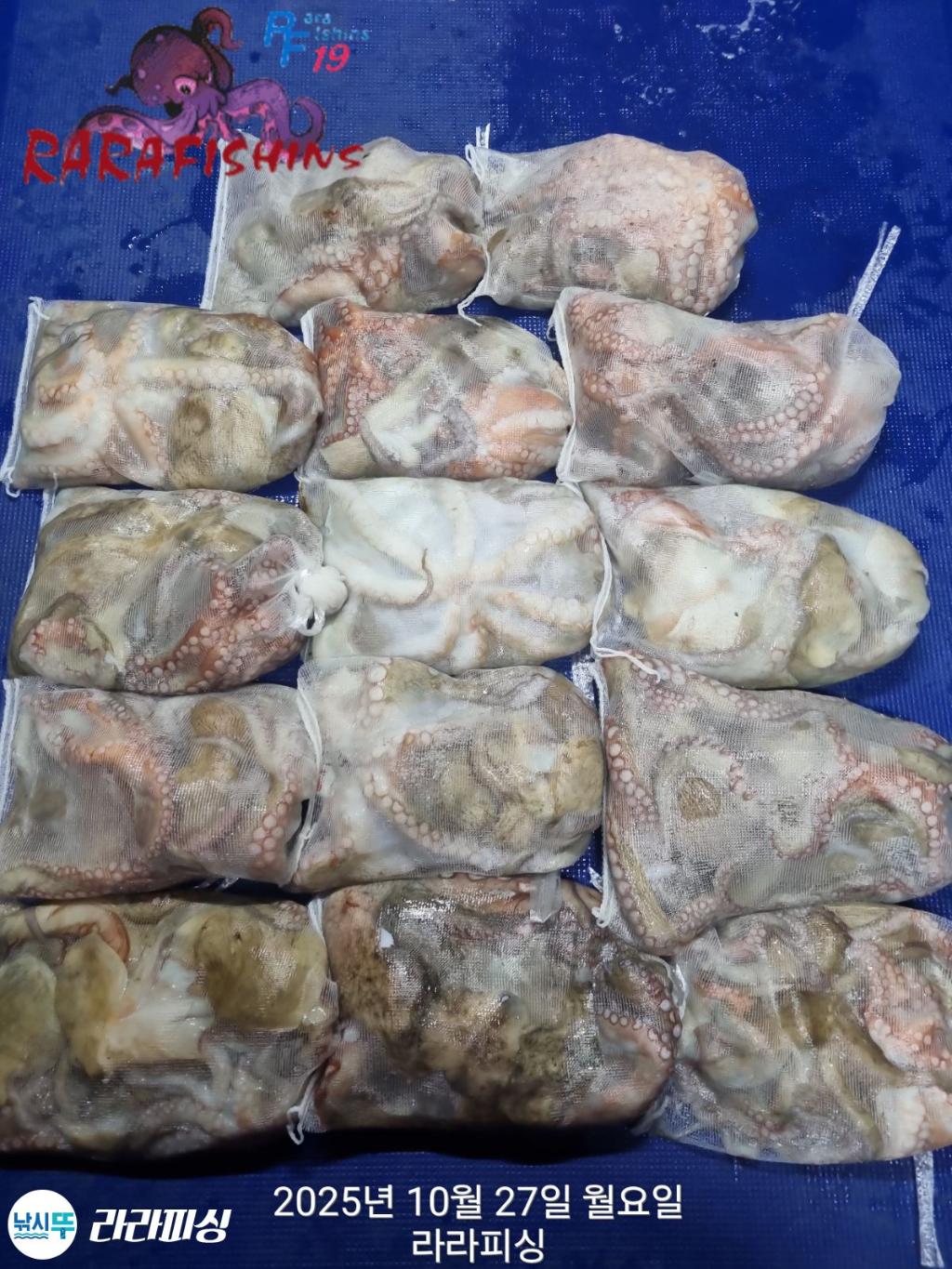 낚시뚜,돌문어,속천항(진해),라라피싱,낚시뚜0