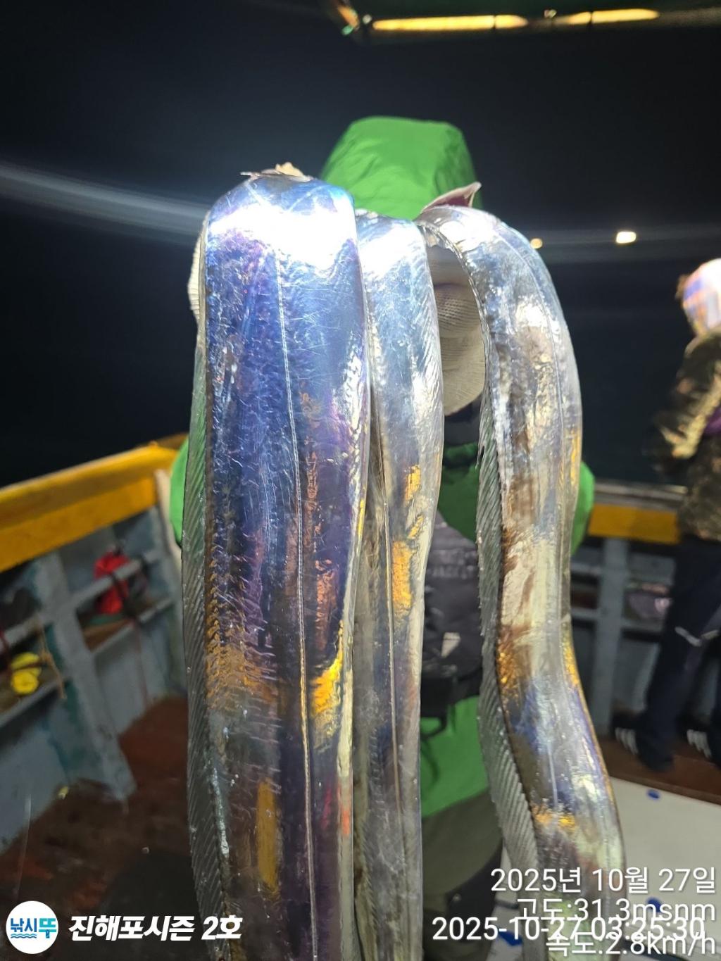 낚시뚜,갈치,진해행암항,진해포시즌 2호,낚시뚜8