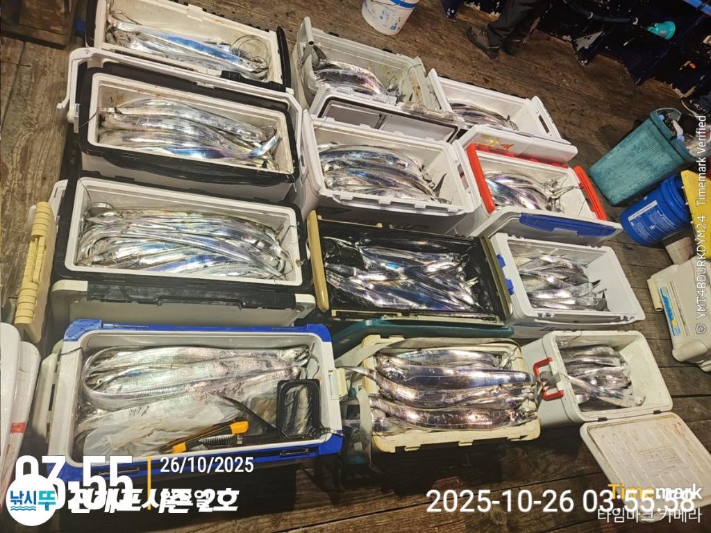 낚시뚜,갈치,진해행암항,진해포시즌 2호,낚시뚜2