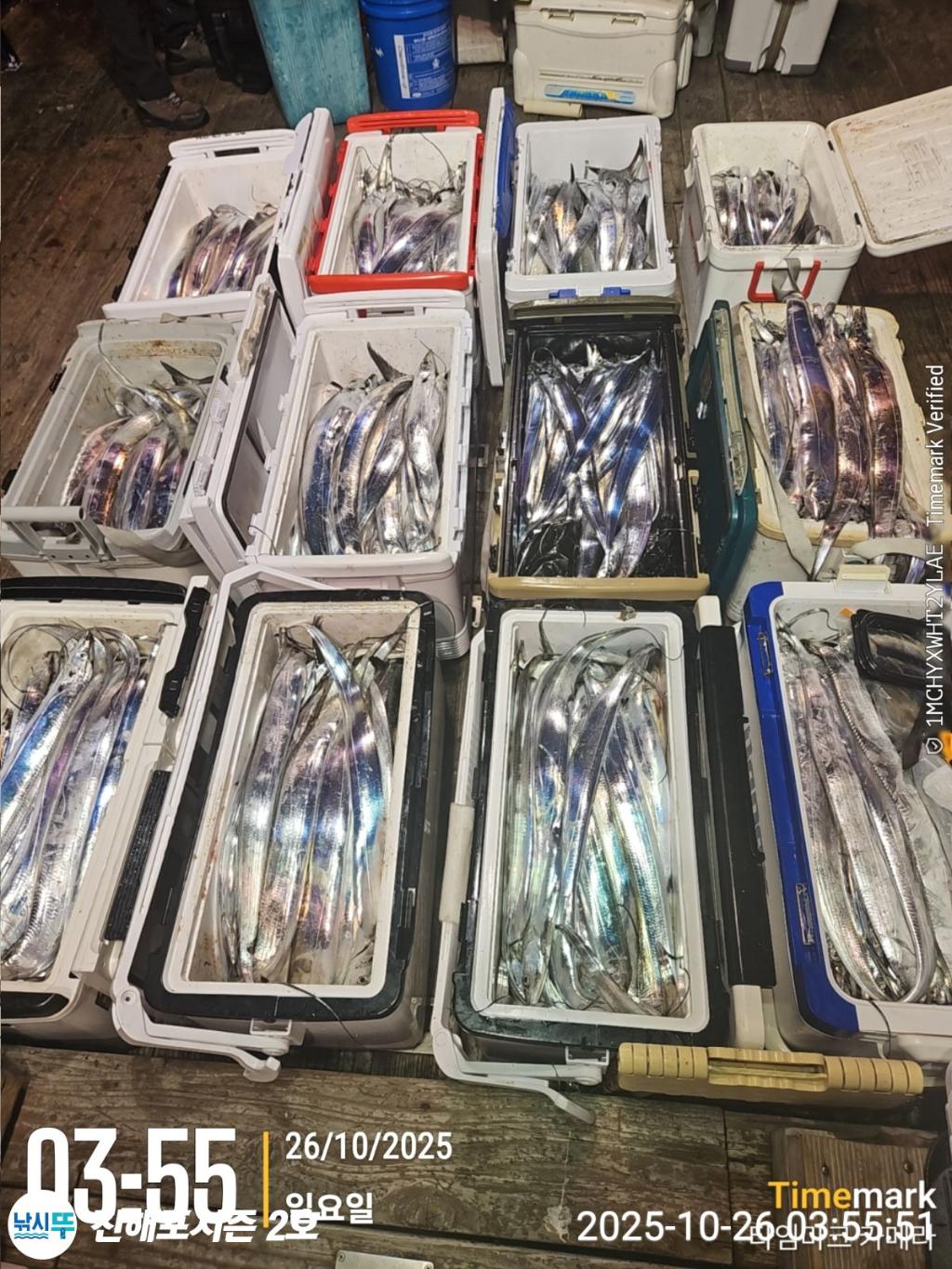 낚시뚜,갈치,진해행암항,진해포시즌 2호,낚시뚜1