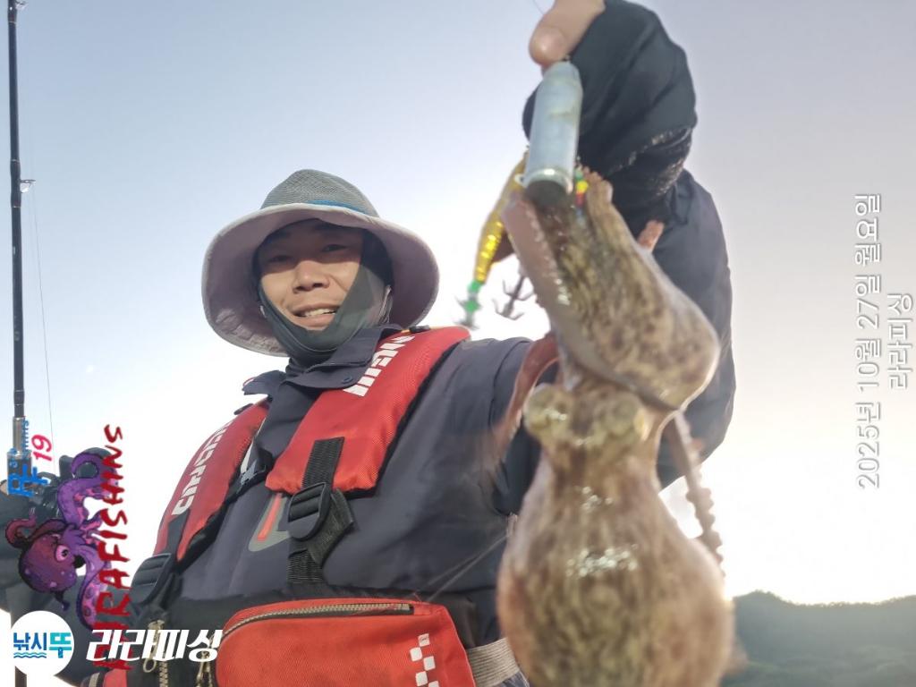 낚시뚜,돌문어,속천항(진해),라라피싱,낚시뚜4