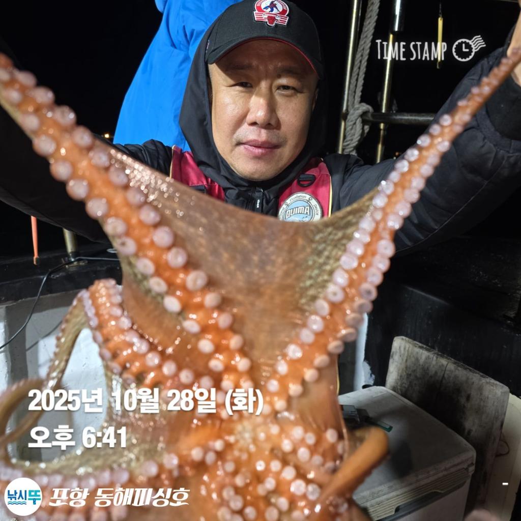 낚시뚜,돌문어,포항(운하관),포항 동해피싱호,낚시뚜4